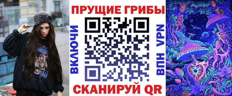 Галлюциногенные грибы Psilocybe  Петровск-Забайкальский 