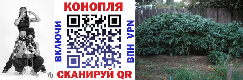 Конопля THC 21% Петровск-Забайкальский